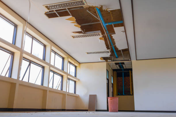 Best Water damage contractors near me  in Northglenn, CO