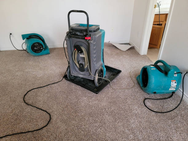  Northglenn, CO Water damage restoration Pros