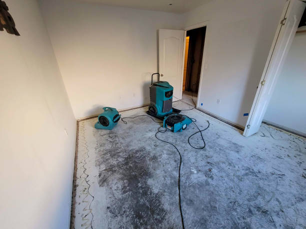 Best Local water damage restoration  in Northglenn, CO