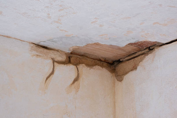 Best Professional water damage repair  in Northglenn, CO