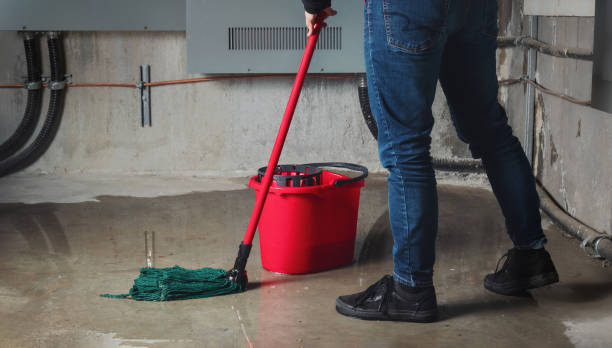 Best Local water damage restoration  in Northglenn, CO