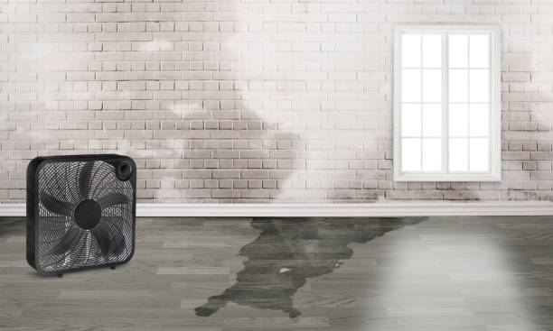 Best 24-hour water damage restoration  in Northglenn, CO