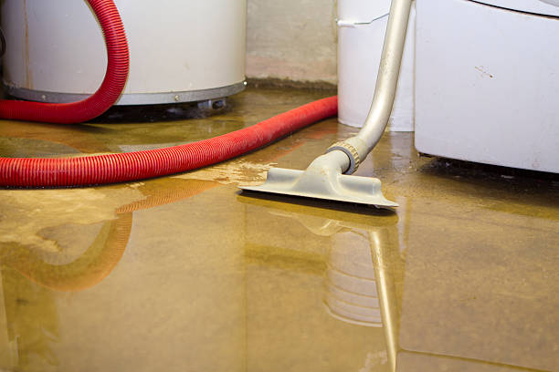 Best Carpet water damage restoration  in Northglenn, CO