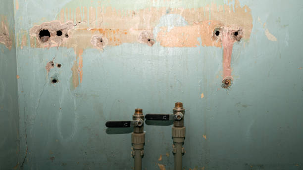 Best 24/7 water damage repair  in Northglenn, CO