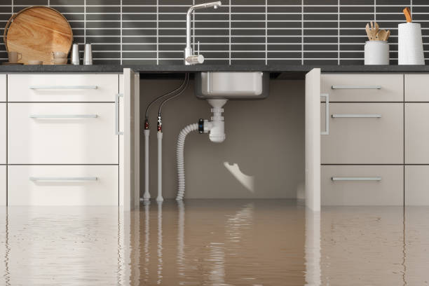 Best Basement water damage restoration  in Northglenn, CO
