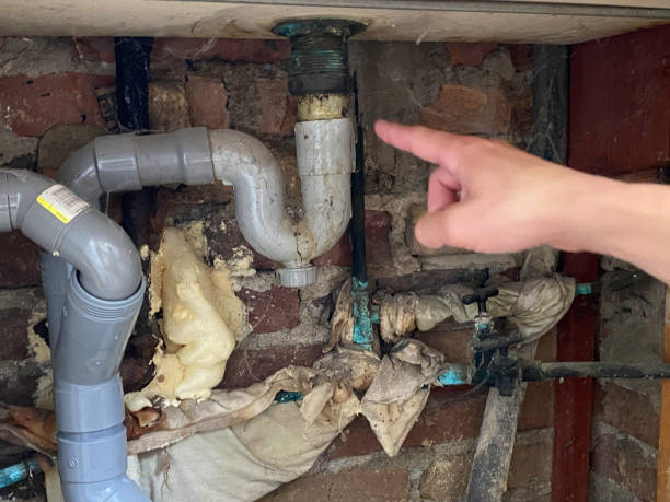 Reliable Northglenn, CO Water damage restoration Solutions